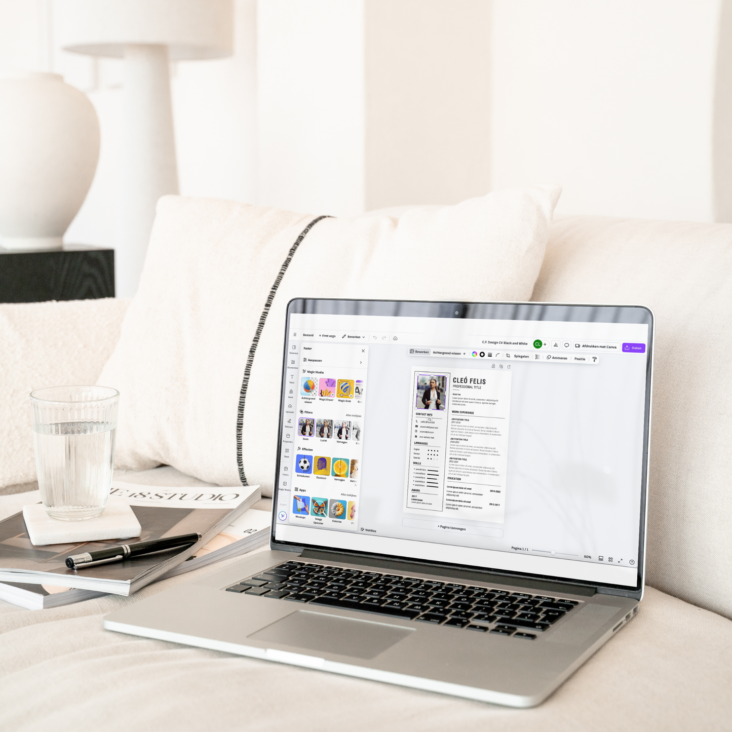 Aanpasbaar CV sjabloon met moderne opmaak