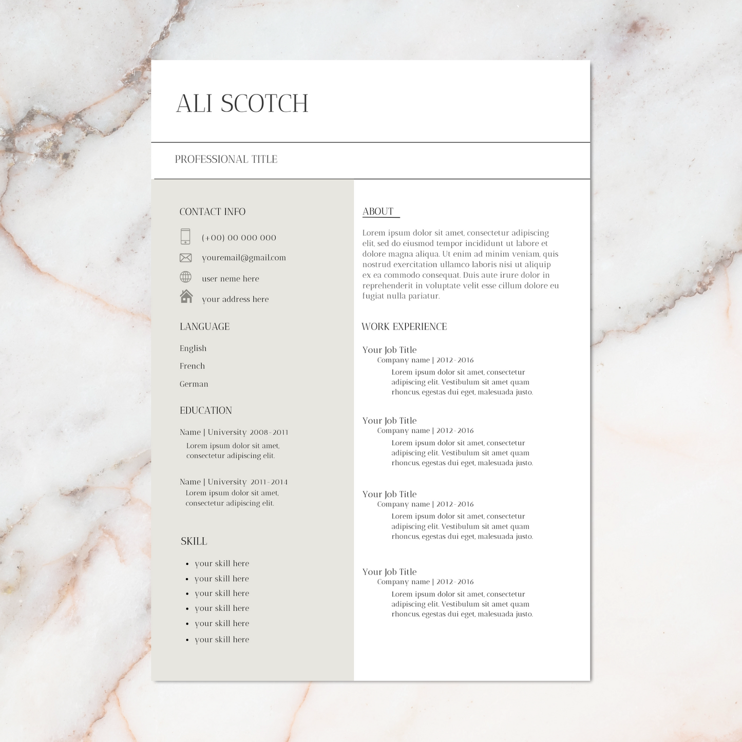 Direct downloadbare professionele CV's met minimalistische uitstraling